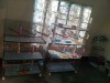 18*36 khacha,Budgies & Dimond dove